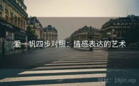 爱一帆四步对照：情感表达的艺术