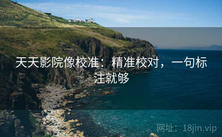 天天影院像校准：精准校对，一句标注就够